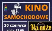 Kino plenerowe we Lwówku Śląskim