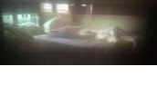  Wystawa - instalacja video "Zuzanna Janin. POKOJE/ROOMS"