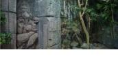 Wystawa pt. „Orient” w Muzeum Przyrodniczym