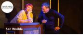 Spektakl "Sen wróbla" w Teatrze Naszym