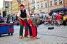 Teatry już wędrują po Jeleniej Górze 