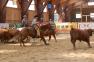 Western i rodeo czyli... kowboje pod Śnieżką