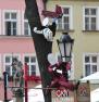 Drugi dzień Festiwalu Teatrów za nami – fotorelacja 