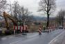 LP010312_3368.JPG