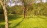 IMAG0399.jpg
