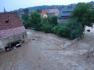 DSC00502_800x600.jpg