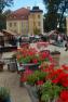 DSC_0186.JPG