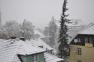 DSC_7068.jpg