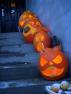 DSCN0477.JPG