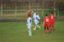 DSC03731c.jpg