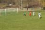 DSC03769c.jpg