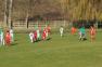 DSC03786c.jpg