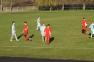 DSC03798c.jpg