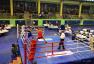 Wyniki sobotniej gali