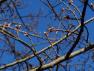 DSC08053.JPG