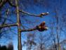 DSC08054.JPG