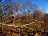 DSC08055.JPG