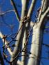DSC08062.JPG