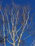 DSC08066.JPG