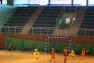 DSC04330a.jpg