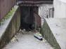 DSC04222.JPG