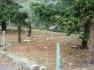 DSC04227.JPG