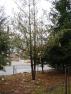 DSC04248.JPG