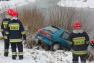 LP14022013_3871.JPG