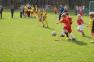 DSC05768.jpg