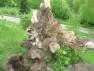 DSC00947.JPG