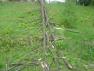 DSC00955.JPG