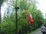 DSC00959.JPG