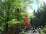 DSC00973.JPG