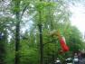 DSC00975.JPG