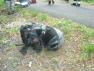 DSC00978.JPG