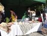 DSC05658.JPG