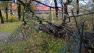 WP_20171029_14_47_42_Pro.jpg