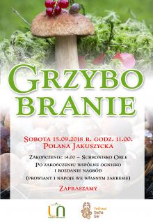 Grzybobranie 2018 na Polanie Jakuszyckiej