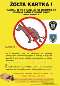 Zgorzelec: wojna z psią kupą