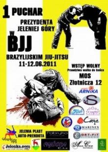 Święto Jiu – Jitsu. Będą  walczyć o Puchar Prezydenta