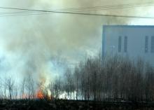 Wczorajszy pożar trawy w Piechowicach. Fot. ROB