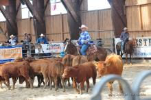 Western Rodeo w Ściegnach