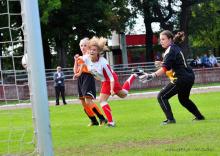 Eko - Mel Orlik Jelenia Góra - Dragon Miszkowice 8-1