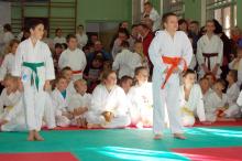 Powiatowi mistrzowie karate