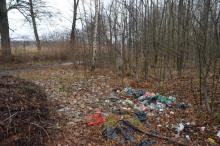Jelenia Góra zmaga się z plagą „dzikich wysypisk" śmieci