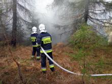 Ćwiczyli gaszenie pożaru lasu w Jakuszycach