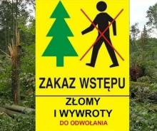 Zakaz wstępu do lasu w Nadleśnictwie Szklarska Poręba
