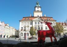 Jelenia Góra musi zacisnąć pasa