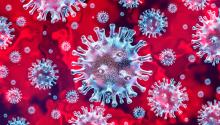 Koronawirus: 206 nowych zachorowań na Dolnym Śląsku