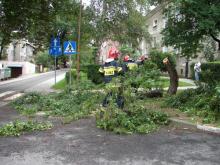 Nadłamane drzewo zerwało linię energetyczną